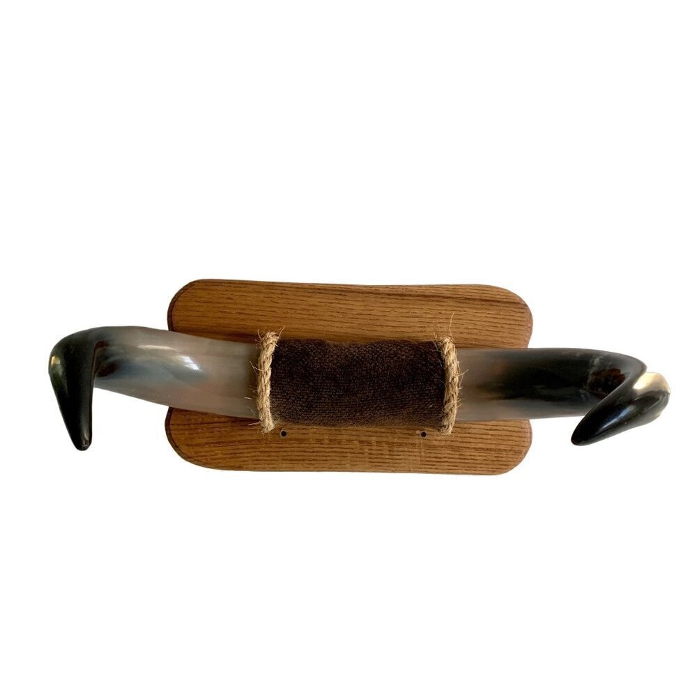 Animal Horn Bull Buffalo ? Mounted 18" Width